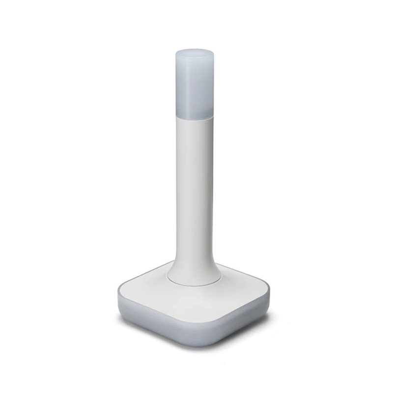 Smart Home Hub 2 - Домашний помощник Connect ZBT-2, совместимый с