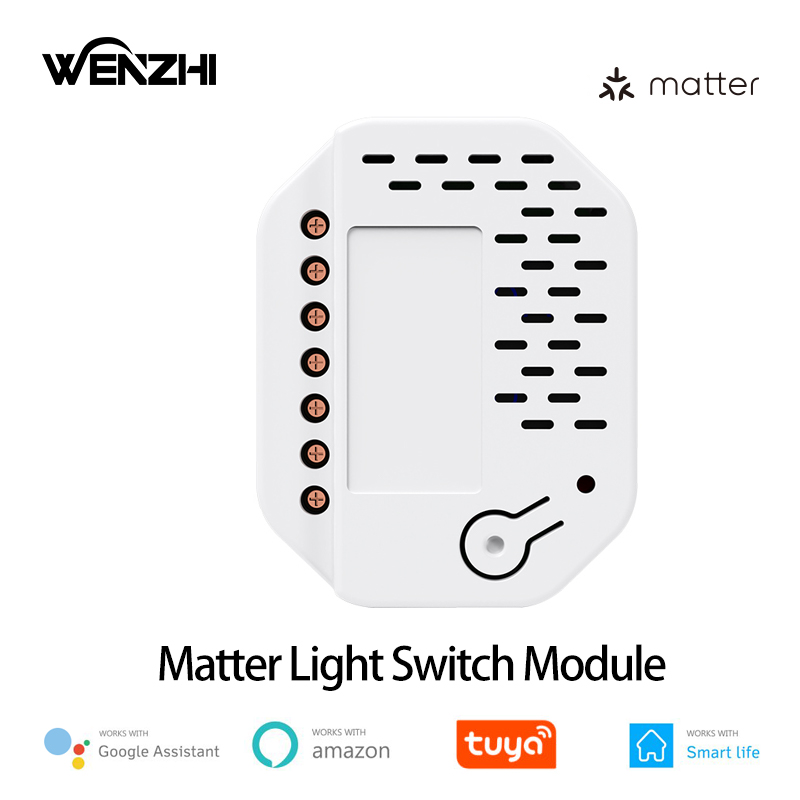 Smart Home Automation - Модуль переключателя света Matter, 2-местное реле